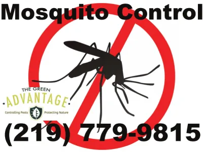 MosquitoControl-1920w