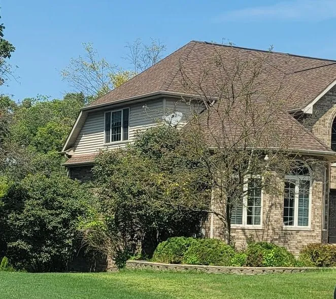 Licensed Arborist Service