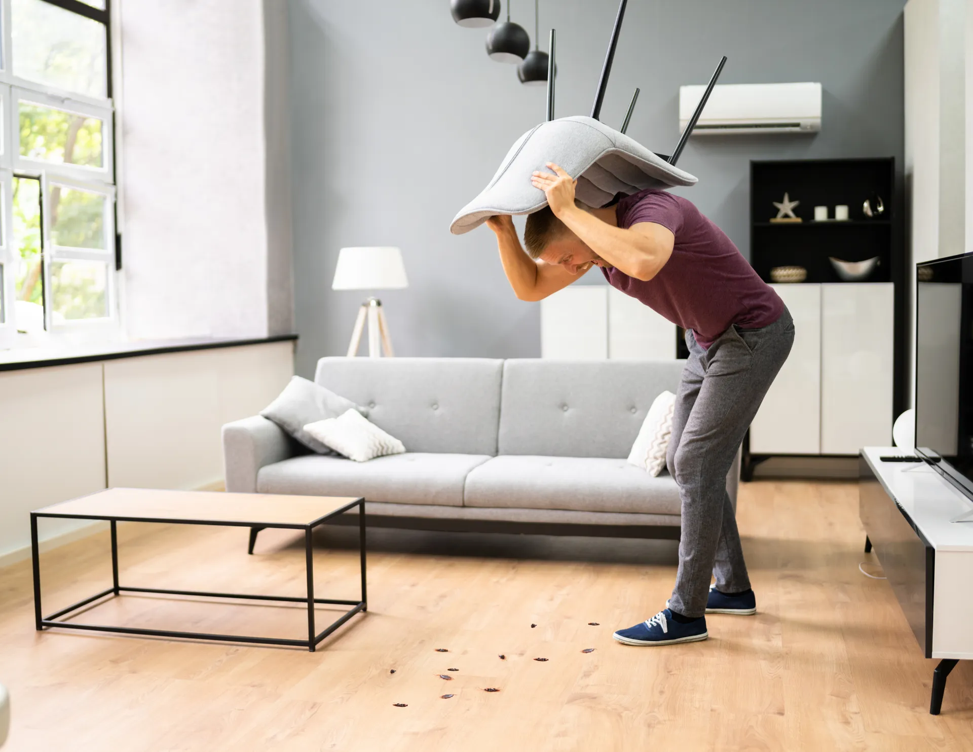 Cockroach Exterminators