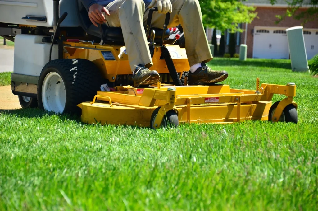 Arborist Service