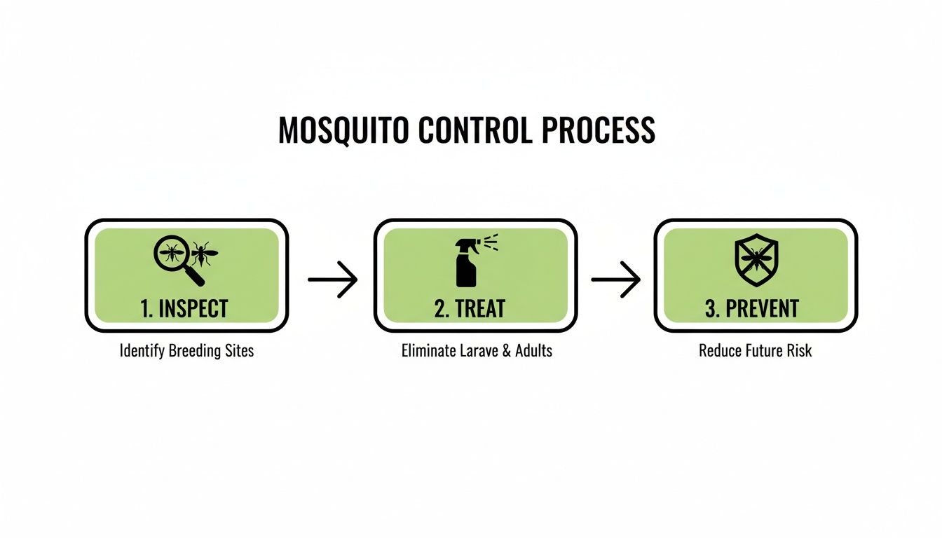 Infographic illustrating the 3-step mosquito control process: inspect, treat, and prevent.