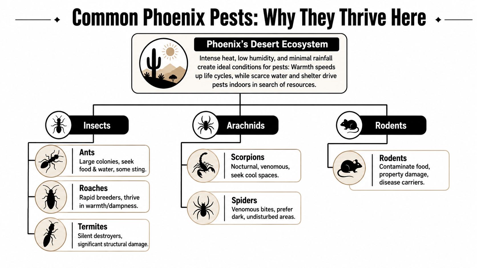 Understanding Common Pests in the Phoenix Area
