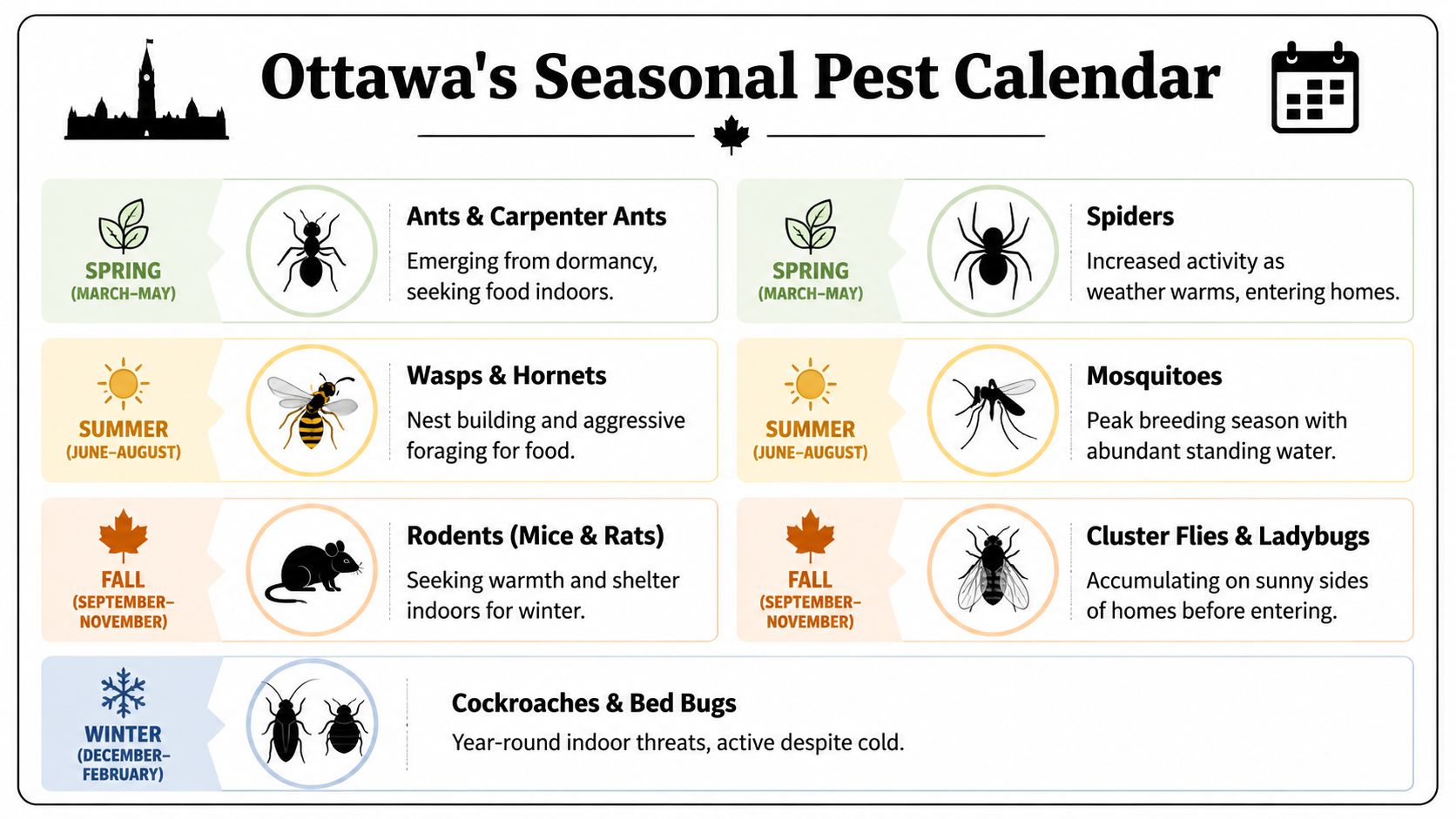 Ottawa's Common Pests and Seasonal Threats