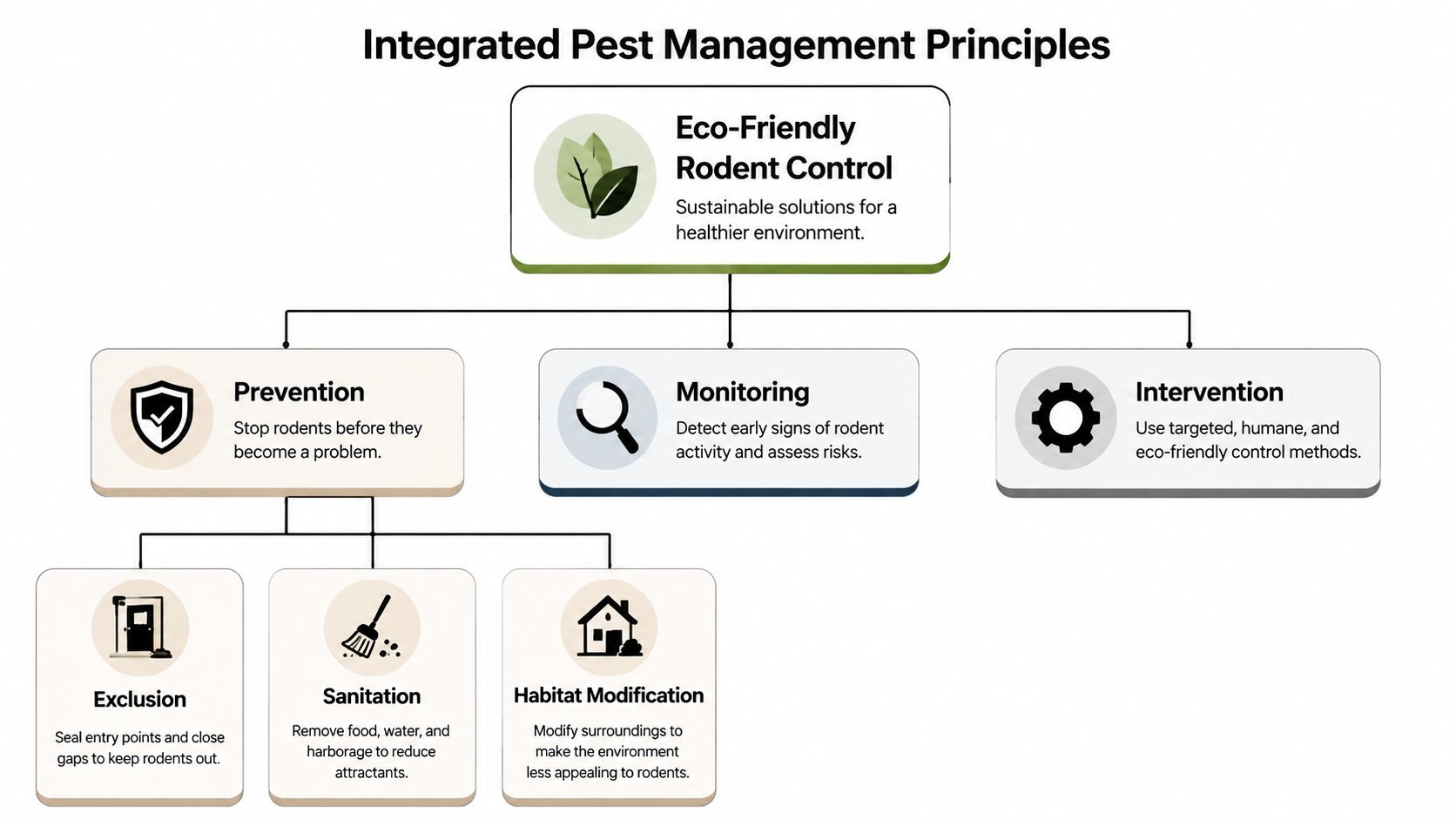 A diagram illustrating integrated pest management principles for eco-friendly rodent control, focusing on prevention, monitoring, and intervention.
