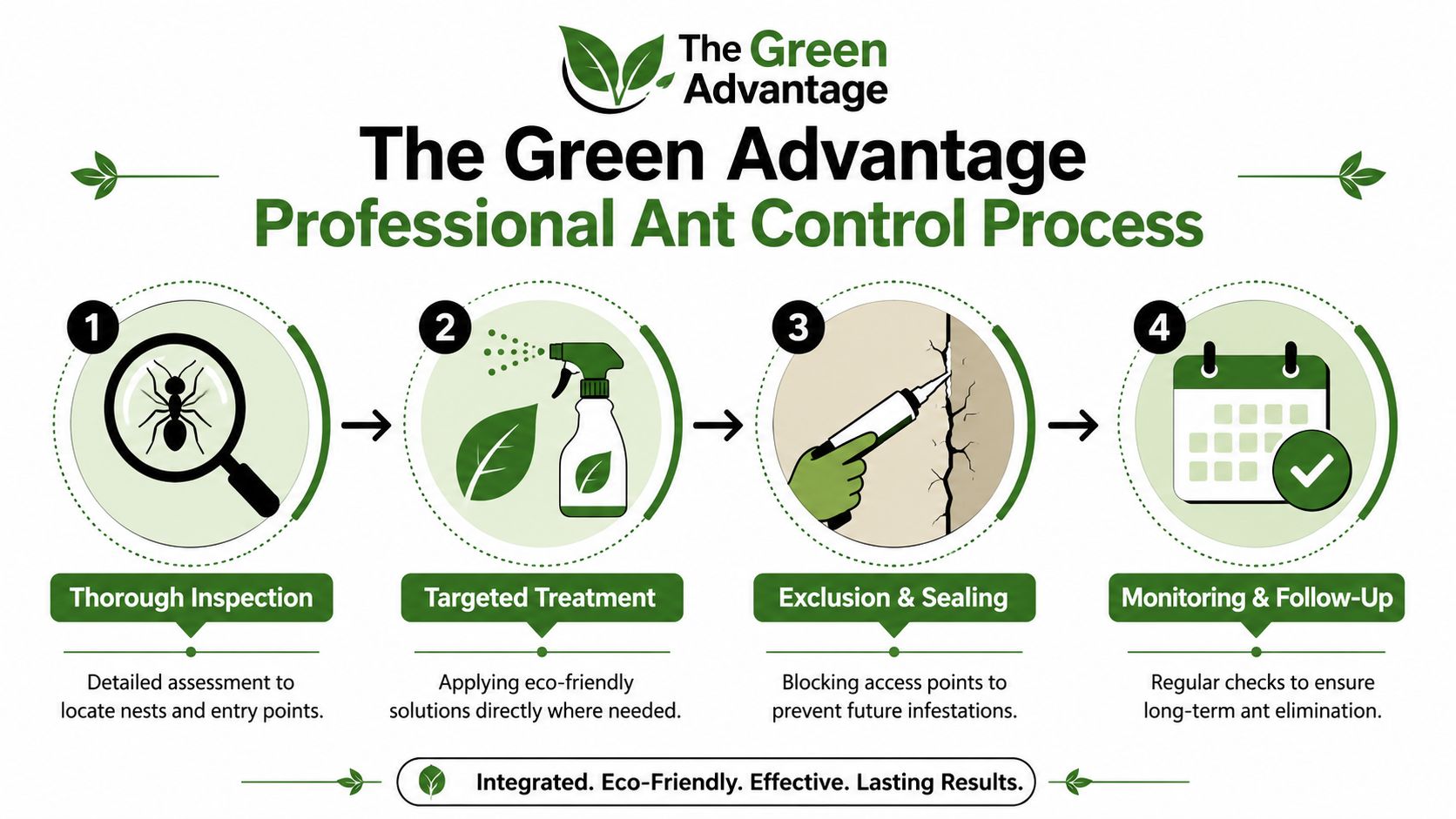 A four-step infographic illustrating The Green Advantage professional eco-friendly ant control and home protection process.