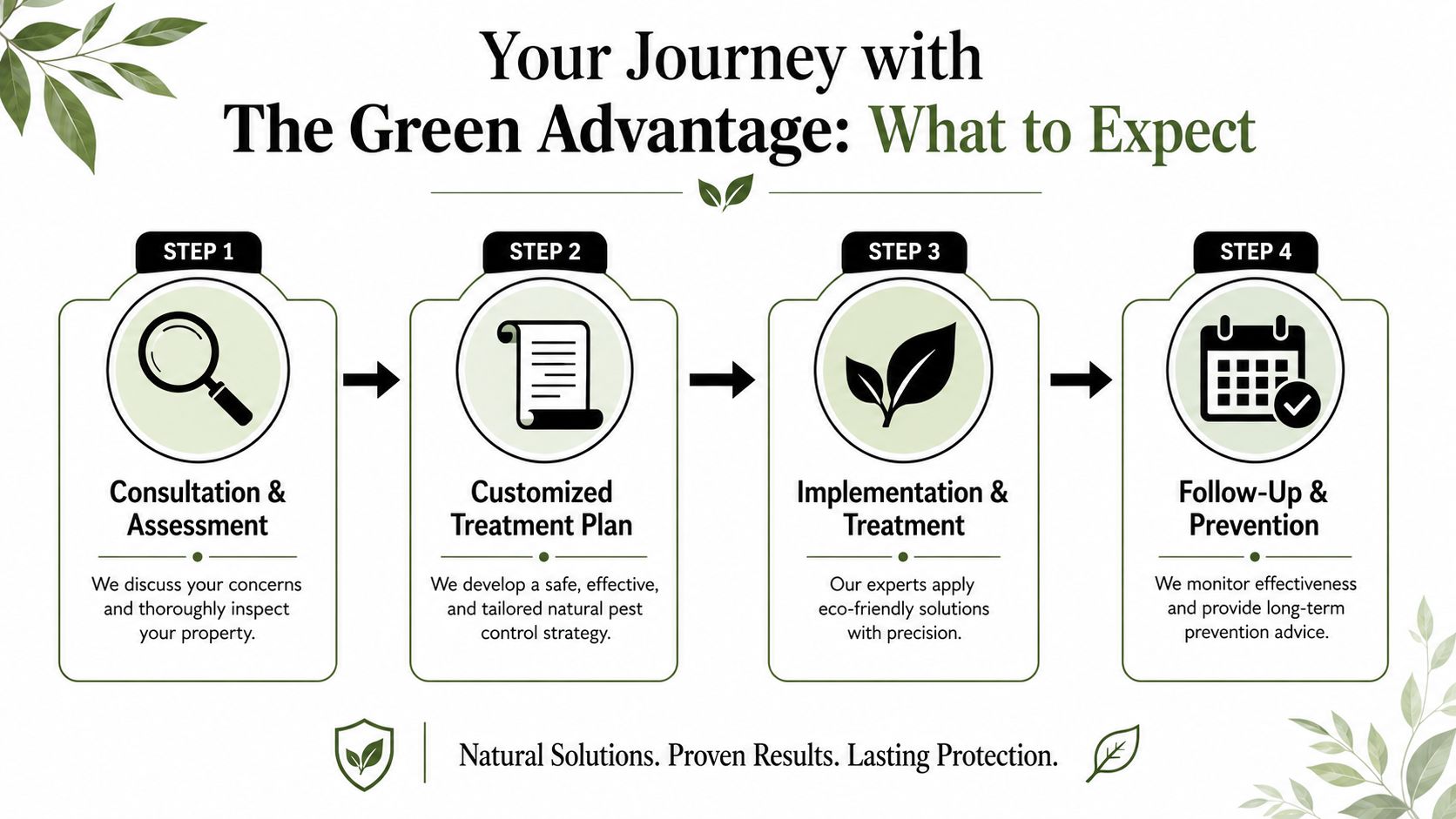 A four-step infographic showing the natural pest control process, from assessment to long-term prevention strategies.
