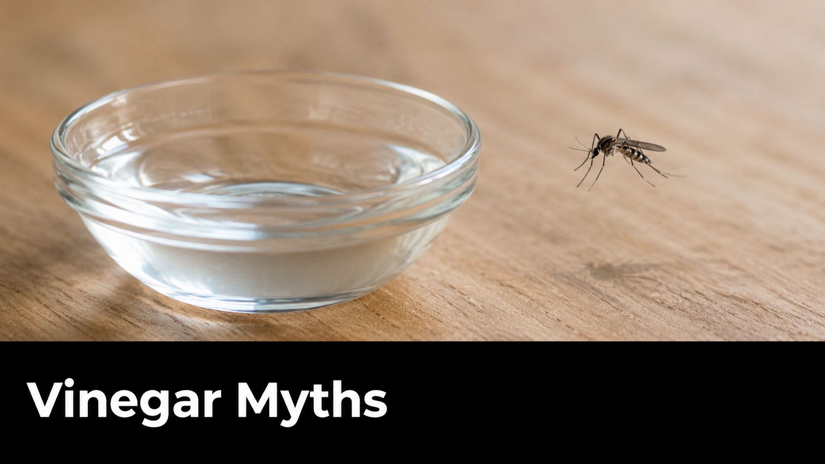 A small glass bowl of liquid sitting next to a mosquito on a wooden table surface.