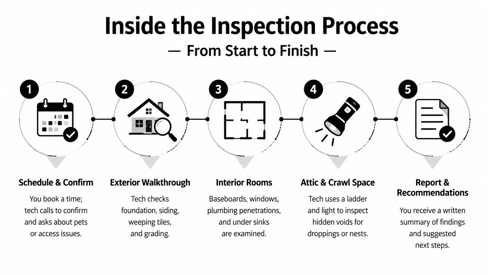 A five-step infographic showing the pest control inspection process from scheduling to the final report.