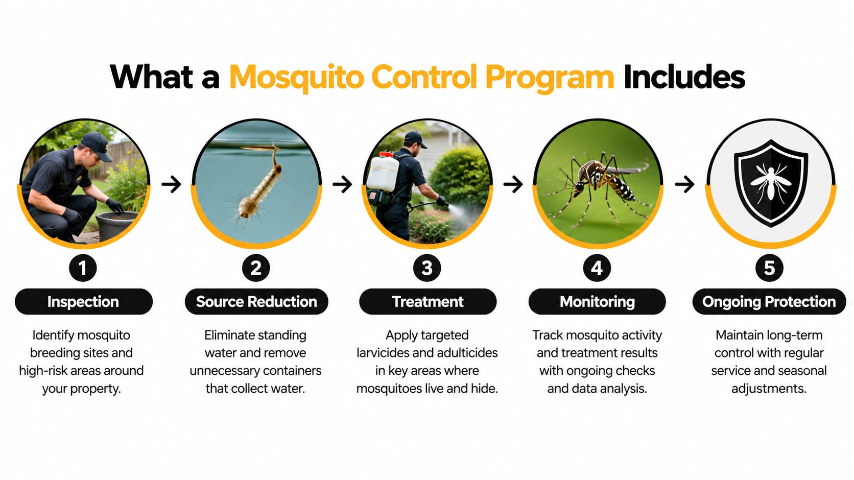 A step-by-step infographic illustrating five key stages of a professional mosquito control program for properties.